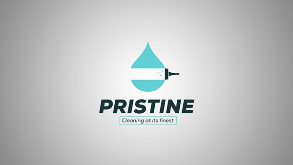 cleaning product logos