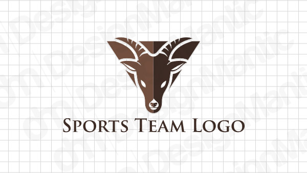 Sports Logo Design 13