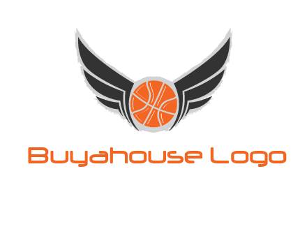 basketball with wings logo