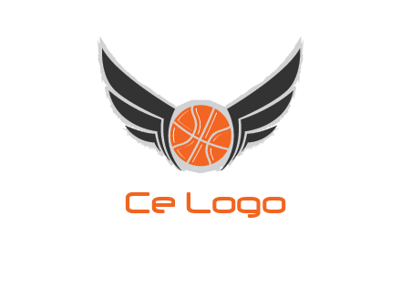 basketball with wings logo