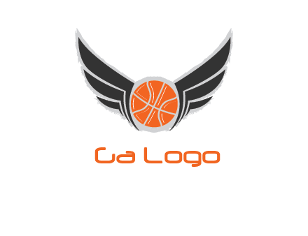 basketball with wings logo