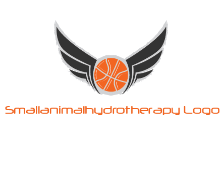 basketball with wings logo