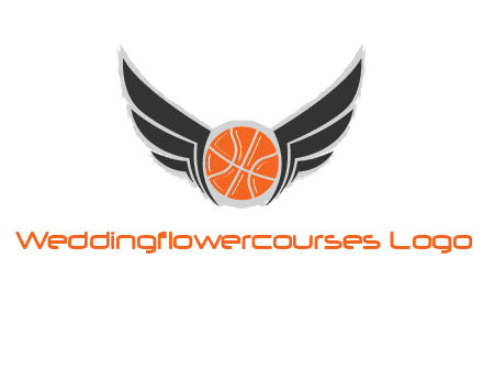 basketball with wings logo