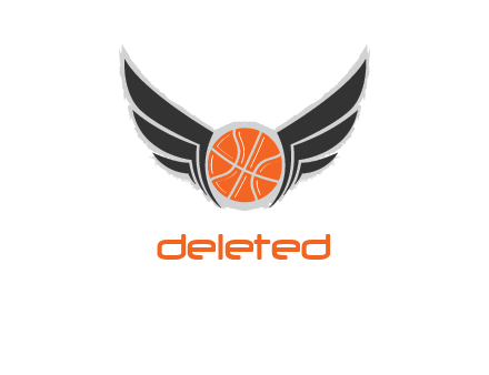 basketball with wings logo