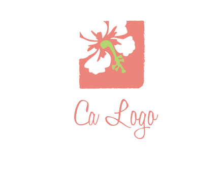 flower in square logo