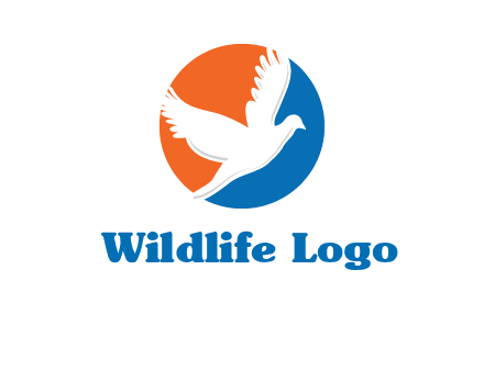 pigeon in circular logo