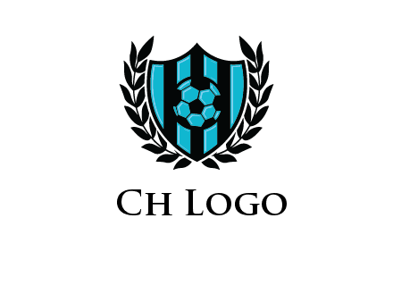 shield in football team logo