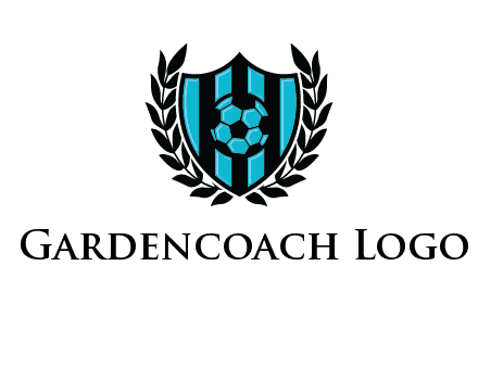 shield in football team logo