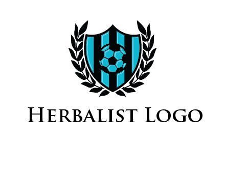 shield in football team logo