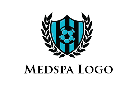 shield in football team logo