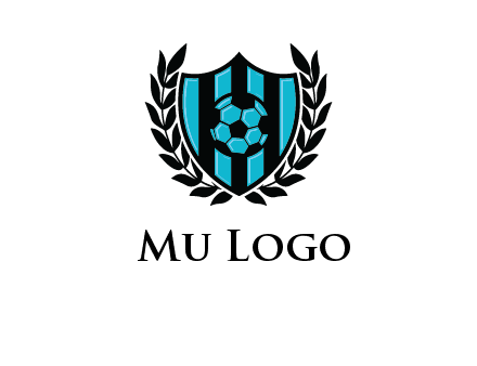 shield in football team logo