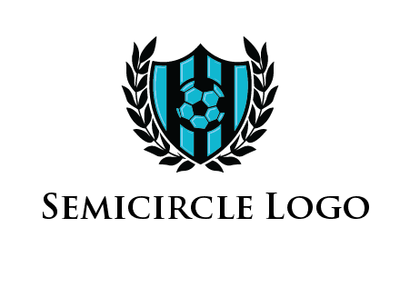 shield in football team logo