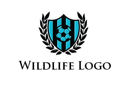 shield in football team logo