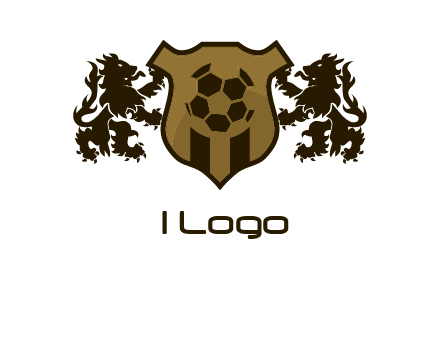 football team logo