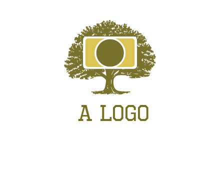 rectangle camera and tree photography logo