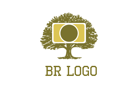 rectangle camera and tree photography logo