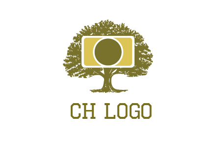 rectangle camera and tree photography logo