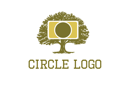 rectangle camera and tree photography logo