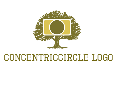 rectangle camera and tree photography logo