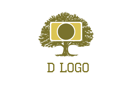 rectangle camera and tree photography logo