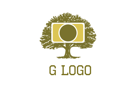 rectangle camera and tree photography logo