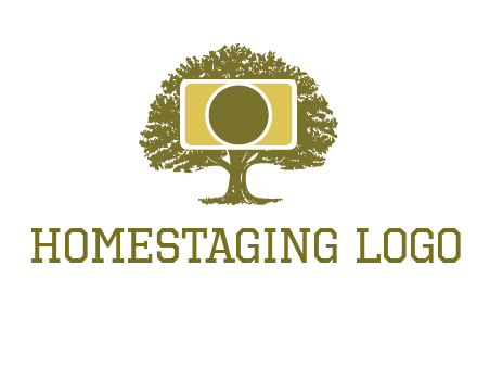 rectangle camera and tree photography logo