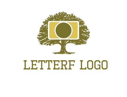 rectangle camera and tree photography logo