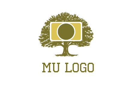 rectangle camera and tree photography logo