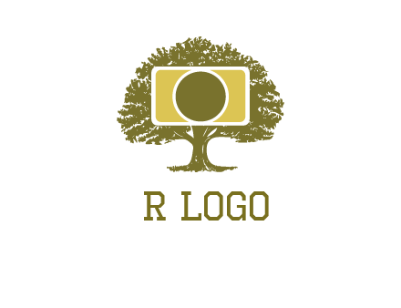 rectangle camera and tree photography logo