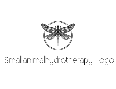 detailed dragonfly logo