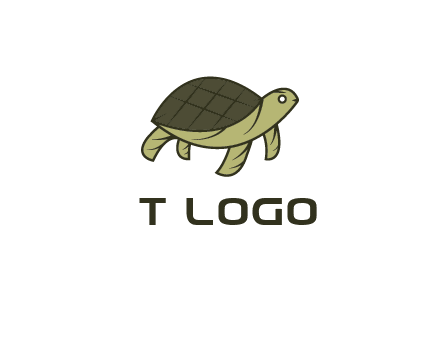 abstract turtle