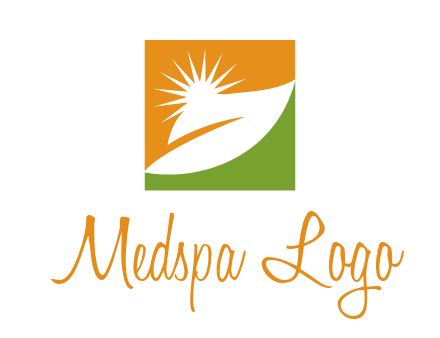 leaf and sun in square environment logo