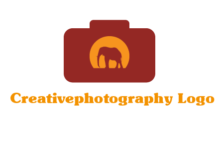 elephant in front of sun in camera