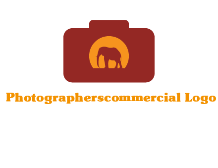 elephant in front of sun in camera