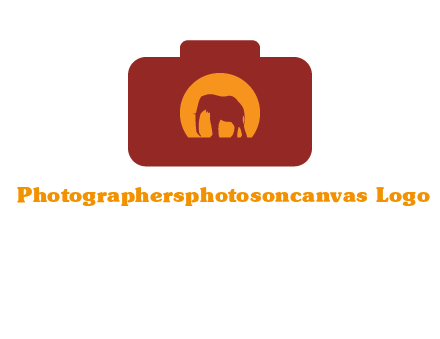 elephant in front of sun in camera