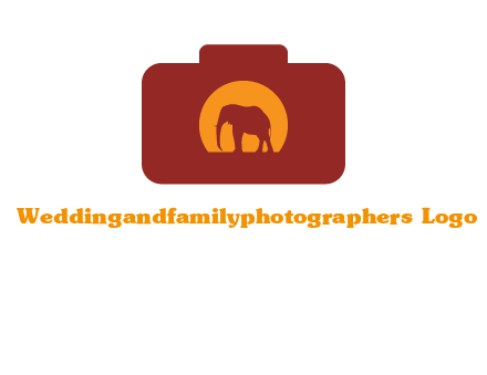 elephant in front of sun in camera