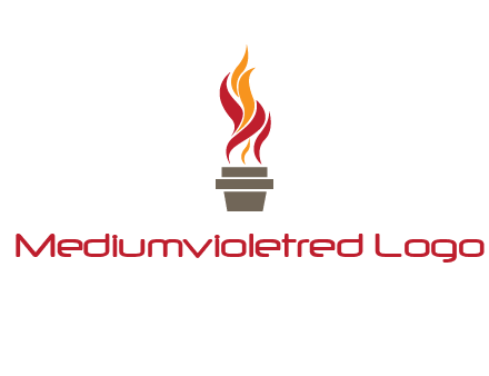 flaming torch logo