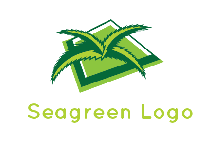 palm leaves logo