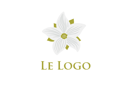 Madonna lily flower logo