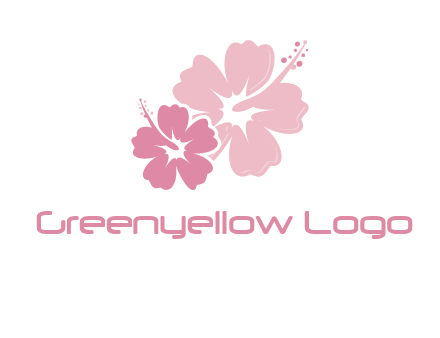 hibiscus flowers logo