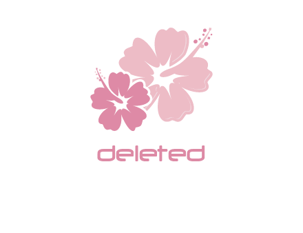 hibiscus flowers logo