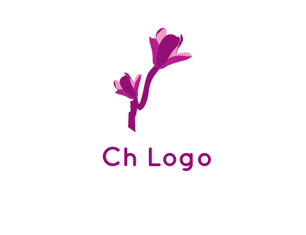 abstract flower logo