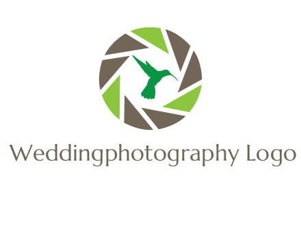 bird inside camera shutter logo