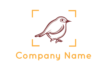 sparrow inside camera focus logo