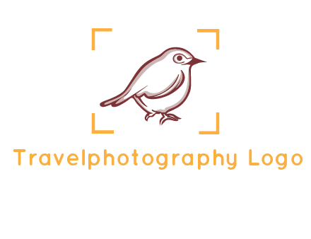 sparrow inside camera focus logo