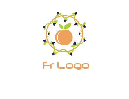 orange in circle with berries logo