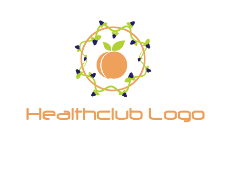 orange in circle with berries logo