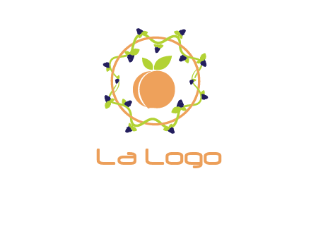 orange in circle with berries logo