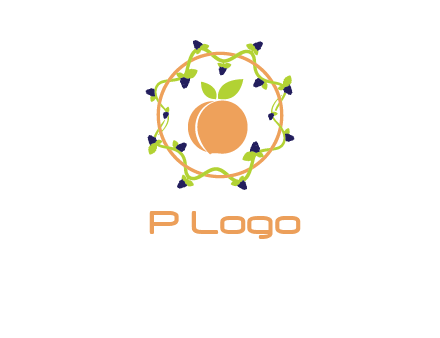 orange in circle with berries logo