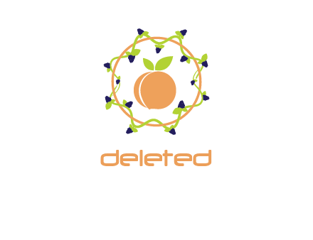 orange in circle with berries logo